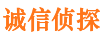 新市市私家侦探